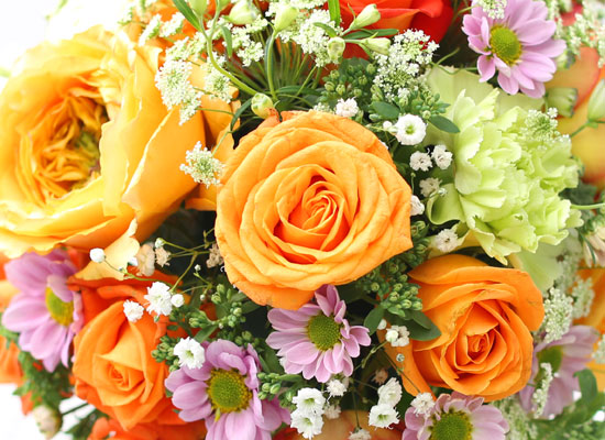 Rose Day - Orange Cercle  ɹ