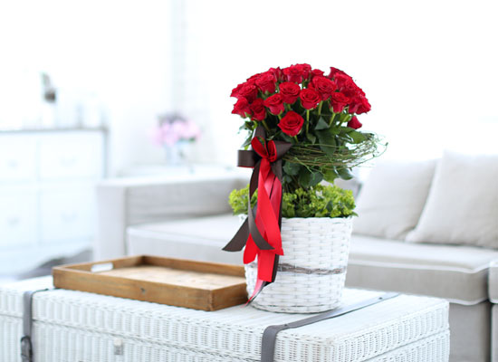   - Rose topiary  ɹ