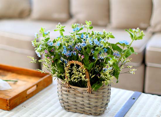   - Vintage Blue  ɹ