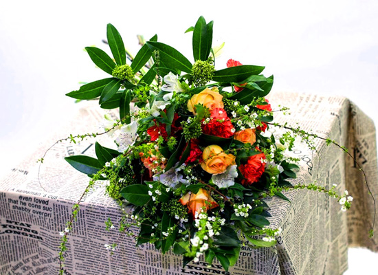 Flowers of the day  ɹ