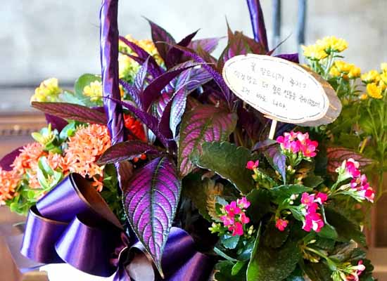 [ȭĹ]Garden gift basket -  It's always a good time!- ü  ɹ