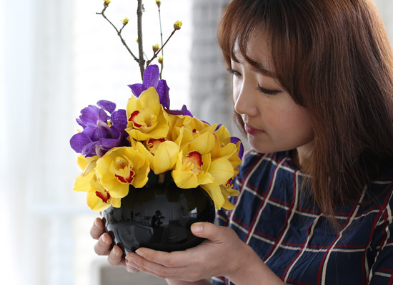 spring&sweet - yellow & puple  ɹ