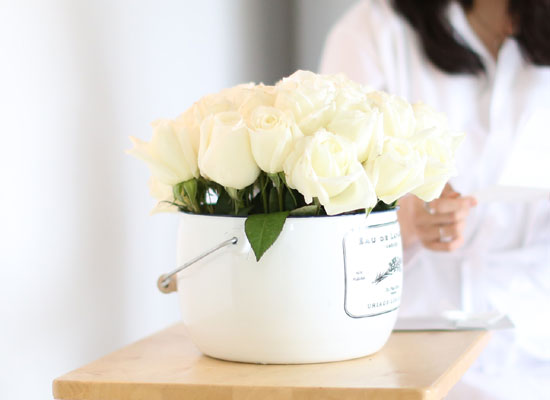 Invaluable white day - white rose (öڽ )  ɹ