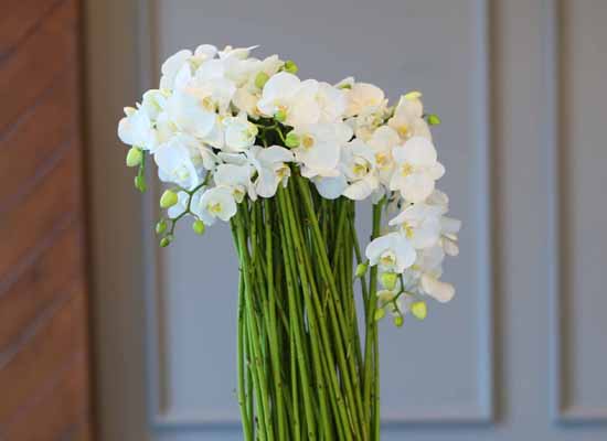 14 Fall  Flower Arrangements Blooming With - The Beatrice  ɹ