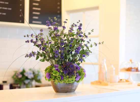 14 Fall  Flower Arrangements Blooming With - The calamint  ɹ