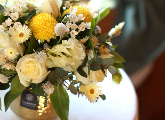 ��,�ɵ��� ����  Spring is here ���� �ɹ��