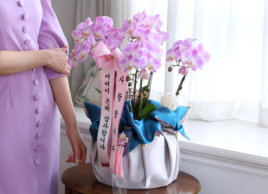 [서울] 정성이 느껴지는 보자기 포장 - 고운 색감의 연핑크호접란 (대) 꽃집 꽃배달