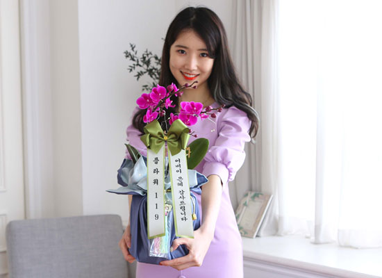 [서울] 정성이 느껴지는 보자기 포장 - 만천홍 (소) 꽃집 꽃배달