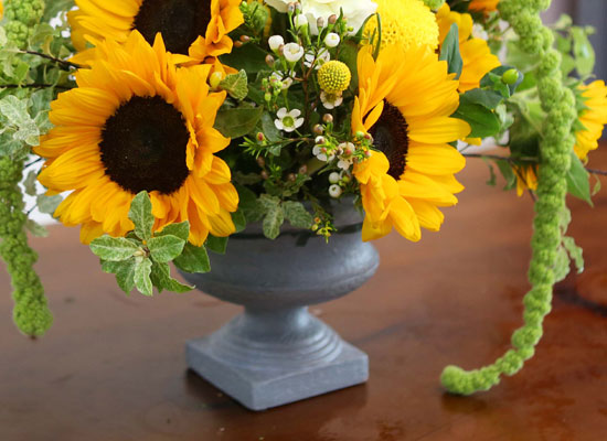 Summer Flowers - ޺ Ը  ɹ