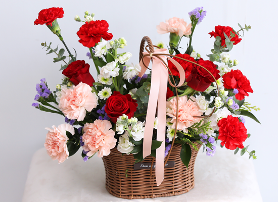 Dancing Red Rouge Basket ���� �ɹ��