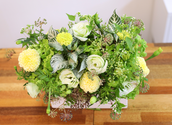 �ʷ� �� ��� ���� �ɹ��