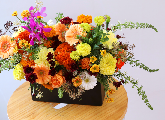 ��� ���� ���� ���� �ɹ��