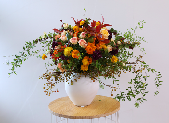 ������ ���� ������ �޻� ���� �ɹ��