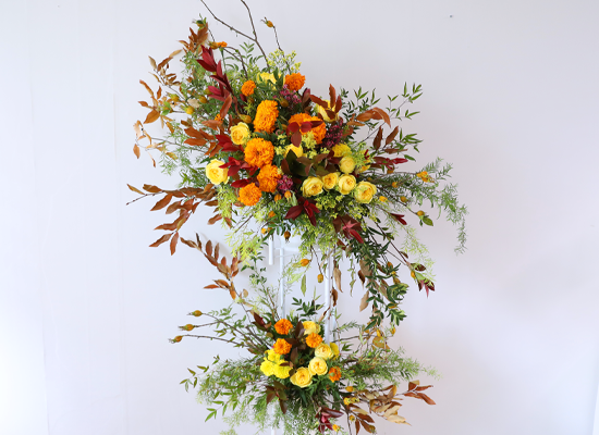 Brilliantly Ripened Today ���� �ɹ��