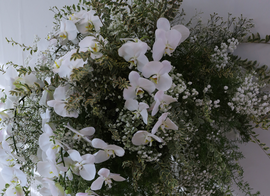 ������ �Ƚ��� ���� ���� �ɹ��