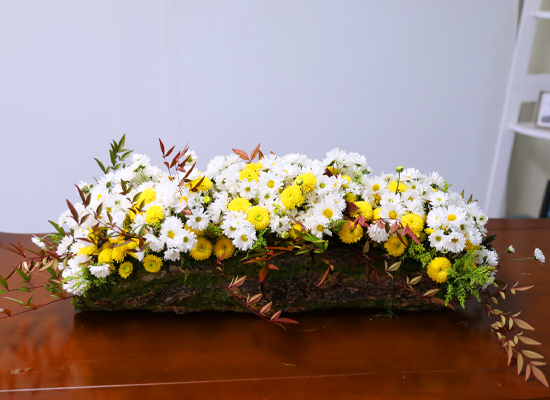 �޻� ���� ��� ��� ���� �ɹ��