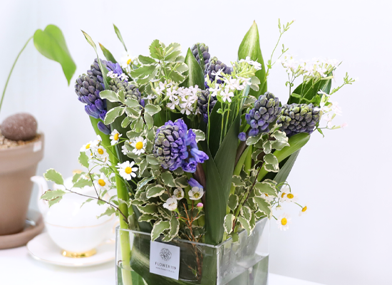 ���� ���� ���� ���� �ɹ��