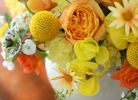 ���� ����� ��� - ������ ���� ���� �ɹ��