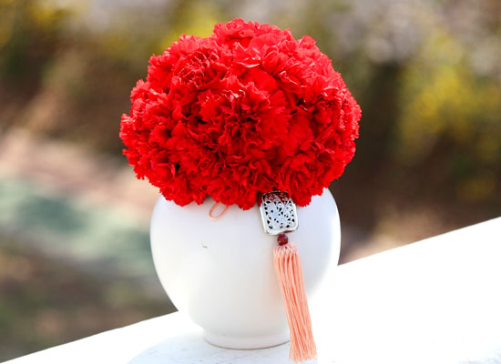 ���׾Ƹ� ī���̼� - ����� ī���̼� ���� �ɹ��