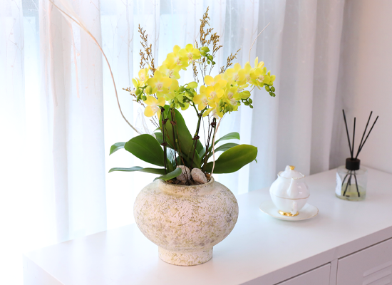 ����� ������ �� - ������ �� ���� �ɹ��