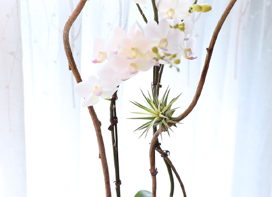 ������ �޹��� - ������ �� ���� �ɹ��