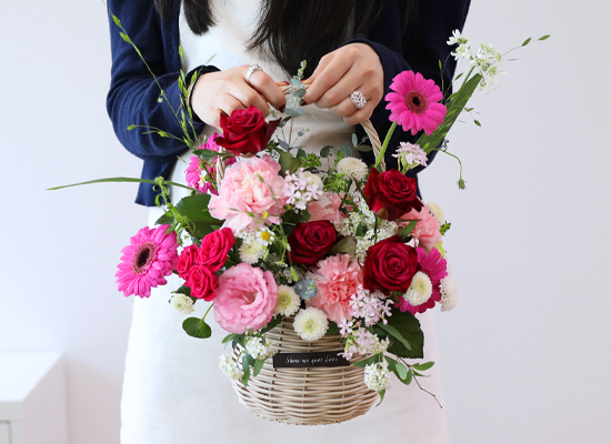 ��ũ �ȷ�Ʈ �Ҹ� - ���� ī���̼� ���� �ɹ��