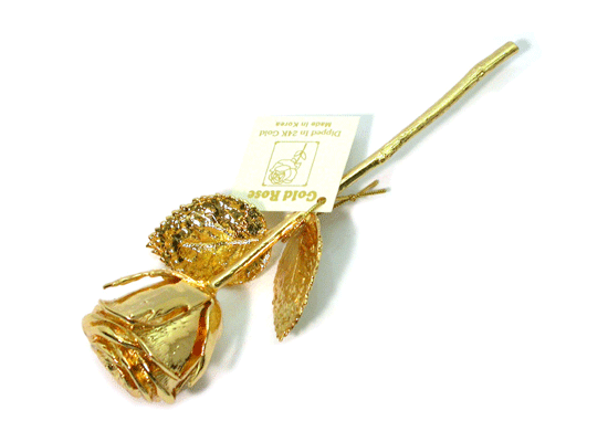 The Gold Rose()  ɹ