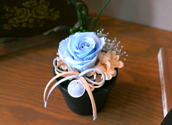 Endless Love - ����&���� ���� �ɹ��