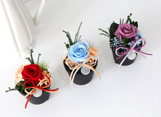 Endless Love - ����ȭ�� 3set ���� �ɹ��