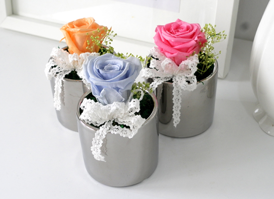 Endless Love - �ǹ�ȭ�� 3set ���� �ɹ��