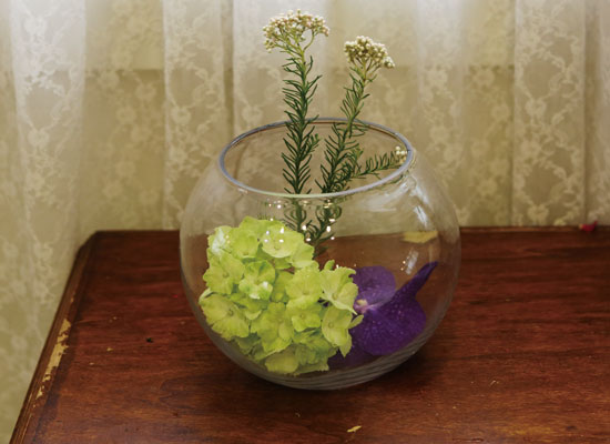 �׸�����-Clear round vase ���� �ɹ��