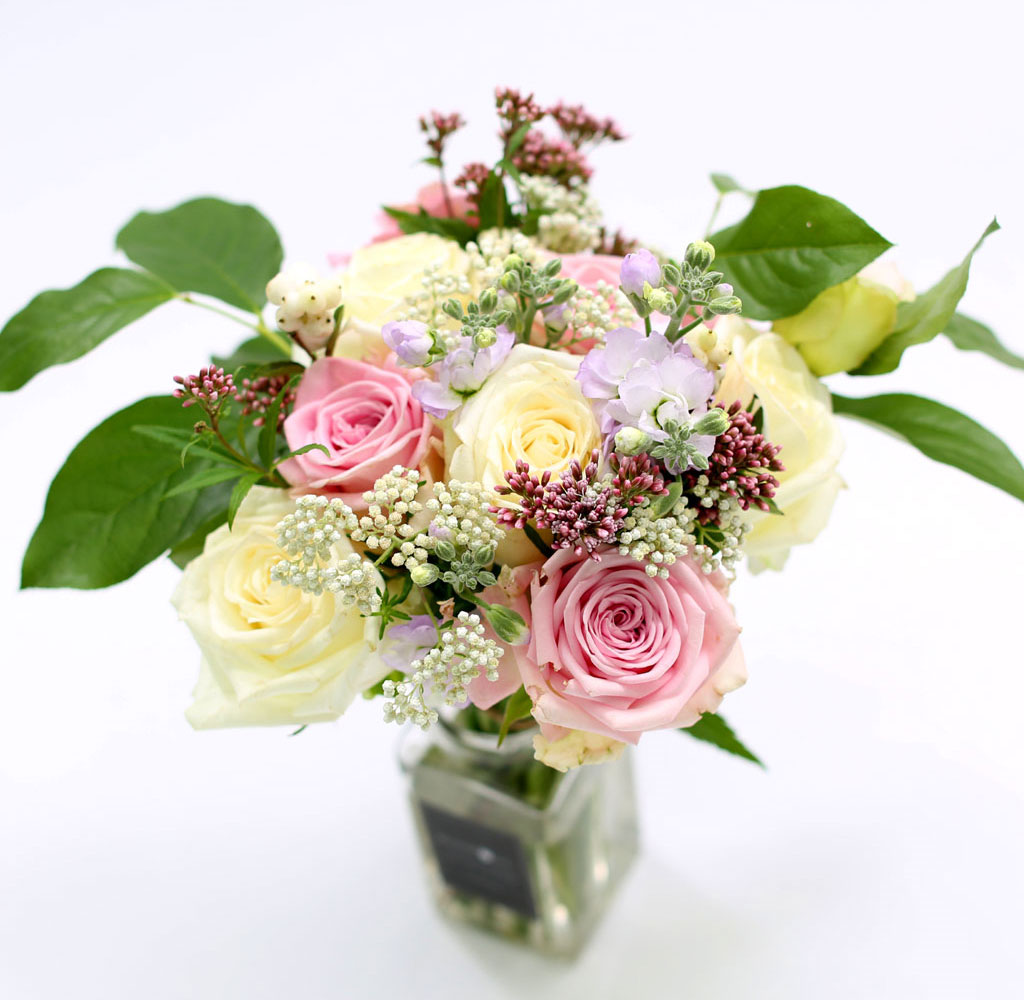[�ù��ǰ]the Stephanie - �ҳర�� ��� ���� �ɹ��