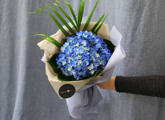 [�ù��ǰ]Fun florals by - ���緹�̵� ���� �ɹ��