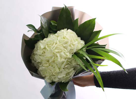 [�ù��ǰ]Fun florals by - �������� ���� �ɹ��