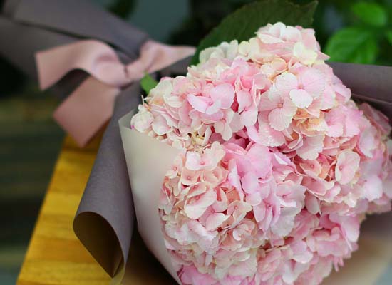 [�ù��ǰ]Fun florals by - ��ſ� ���� ���� �ɹ��