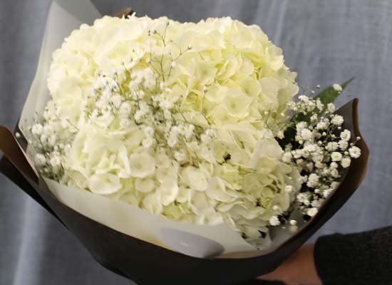 [�ù��ǰ]Fun florals by - ��ſ����� ���� �ɹ��