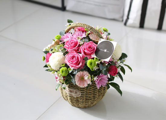 fall in love - ����ϱ� ���� �� ���� �ɹ��