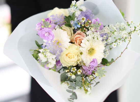 [�ù��ǰ]Spring violet - ����� ���� �޻� ��ī�� Set ���� �ɹ��