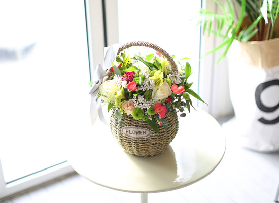 [�ù��ǰ]refreshin basket - �������� ��⸦ ���մϴ� ��ī�� Set ���� �ɹ��