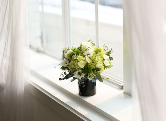 Fresh spring flower Whihe Blossom ���� �ɹ��
