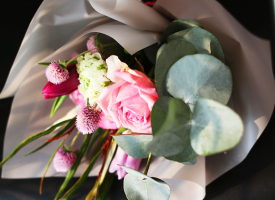 [�ù��ǰ]Fresh spring flower Magenta Hime ���� �ɹ��