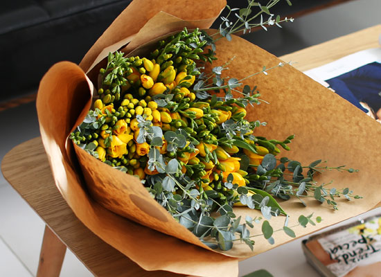 [�ù��ǰ]Fresh spring flower Hope of feather ���� �ɹ��