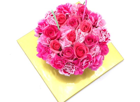 [] petit ami (ڶ ٹ)  ɹ