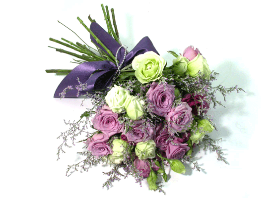French Purple  ɹ