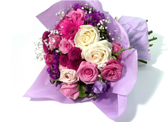 Elegant Rose  ɹ