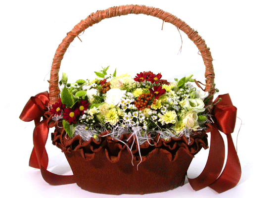 Brown-giftstyle()  ɹ