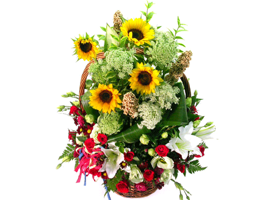 [���Ϲٱ���] Thanksgiving-ǳ��ο� ���� ���� �ɹ��