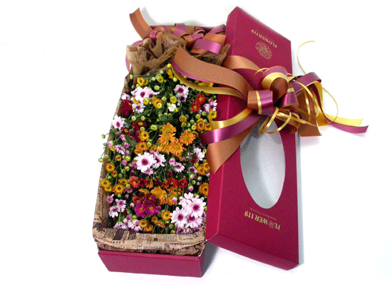 °¨¼ºÇöó¿ö-±¹ÈÇâ±â °¡µæÇÑ Çöó¿ö¹Ú½º ²ÉÁý ²É¹è´Þ