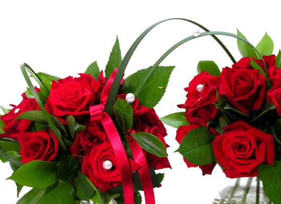 Rosegarden-  ɹ