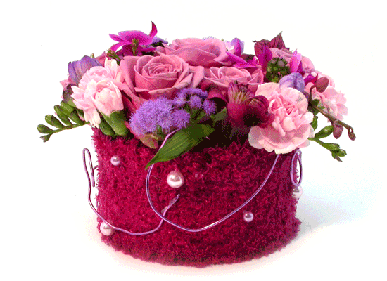 []Birthday - Ű Ʈκ  ɹ